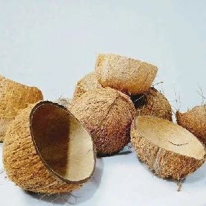 Coconut Shell