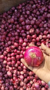 fresh red onion