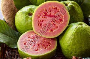 Fresh Guava