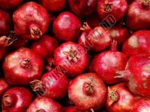 Fresh Pomegranate
