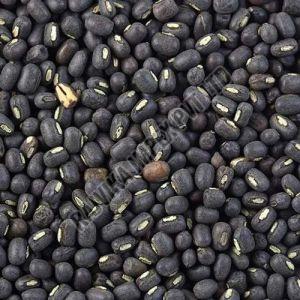 Sabut Urad Dal