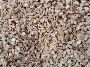 cutting sp 2 cashew nut