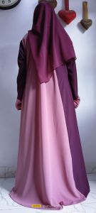 Premium Two Tone Abaya