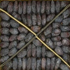 Medjool Dates