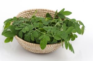 Fresh Moringa Leaves