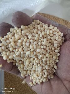 Whole White Urad Dal