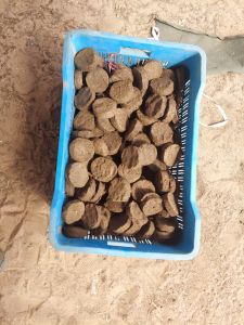 Pure Cow Dung Cake