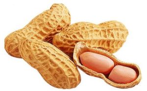 Whole Ground Nuts With Shell