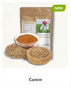 Cumin Seeds