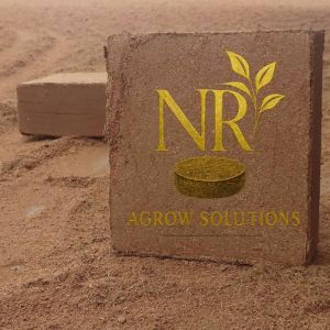 Square Coco Peat Blocks