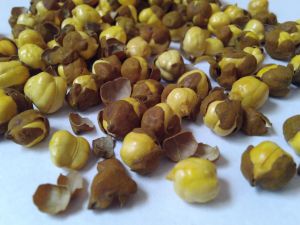 Indian Roasted Bengal Gram