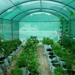 Green Shade Net