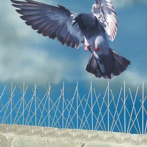Plastic Bird Spike