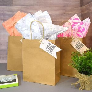 Plain Brown Kraft Paper Bag