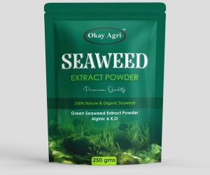 250gm Green Seaweed Powder