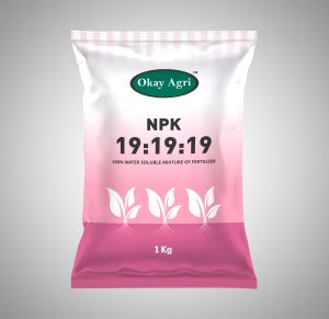 1kg NPK 19-19-19 Water Soluble Fertilizer