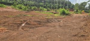 Agriculture Land Sale