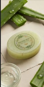 Handmade Aloe Vera Soap
