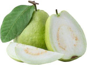 Fresh Guava