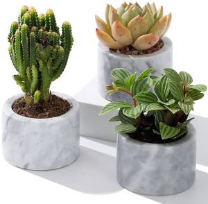 Luxury Indoor Marble Planter