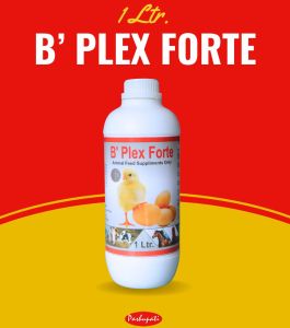 B Plex Forte Poultry Feed Supplement