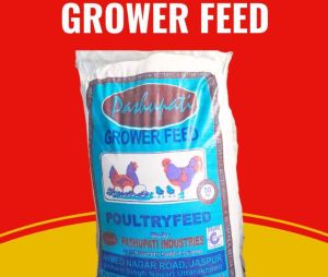 Layer Grower Poultry Feed