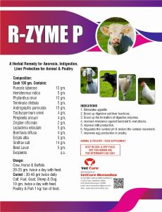 R-ZYME P