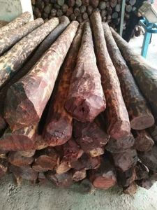 A Grade Round Red Sandal Wood