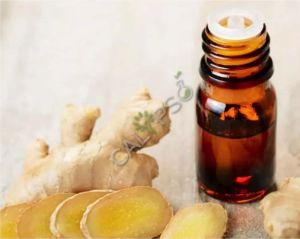 Ginger Oil