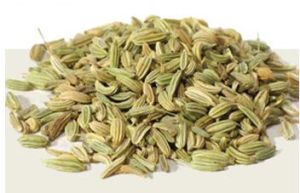 Fennel Seeds