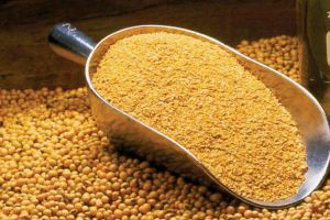 Bansal Full Fat Soya Grits