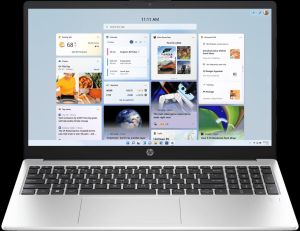 HP 255 39.6 Cm G10 Notebook Laptop