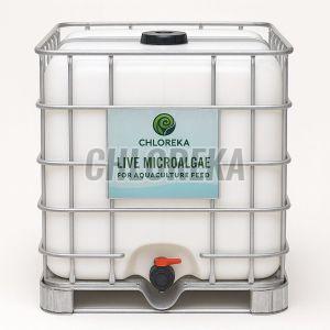Aquaculture Live Green Microalgae Feed