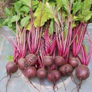 F1 Hybrid Beetroot Seeds