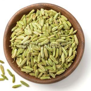 Fresh Fennel Seeds