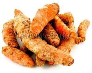 High Quality Turmeric Fingers