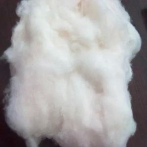 White Cotton Fiber
