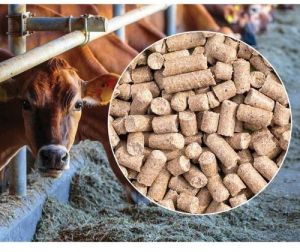 Animal Feed Cattle Pro