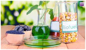 Bio Diesel Fuel Oil
