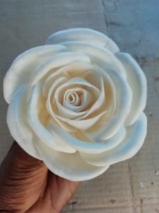 sola flowers