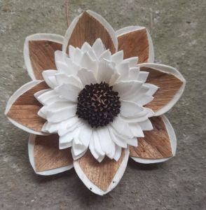 sola flowers