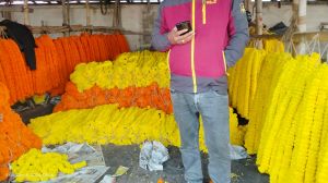 Marigold Flower Garland