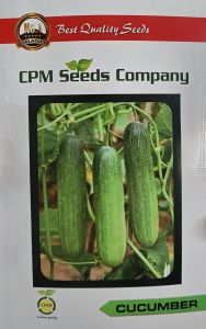 Green Cucumber Seeds