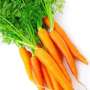 A Grade Fresh Carrot