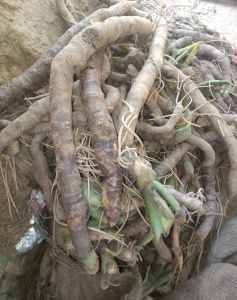 Sugandhmantri Farming Service