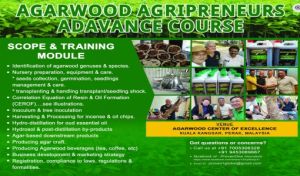 Agarwood Training Service