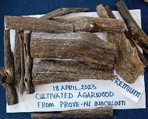 Agarwood Value Addition Service