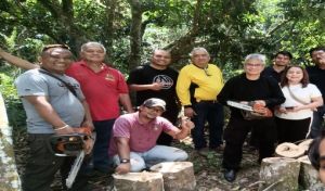 Agarwood Training Service
