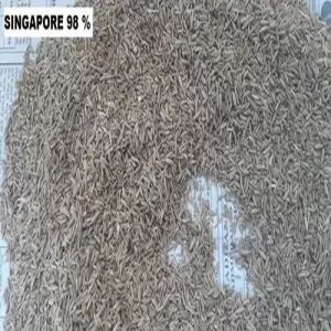 Cumin Seed Jeera