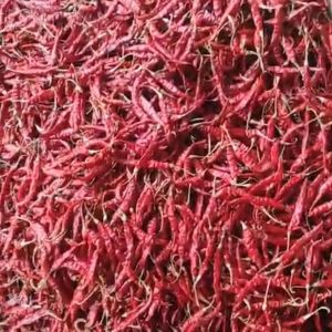 Dried Red Chilli